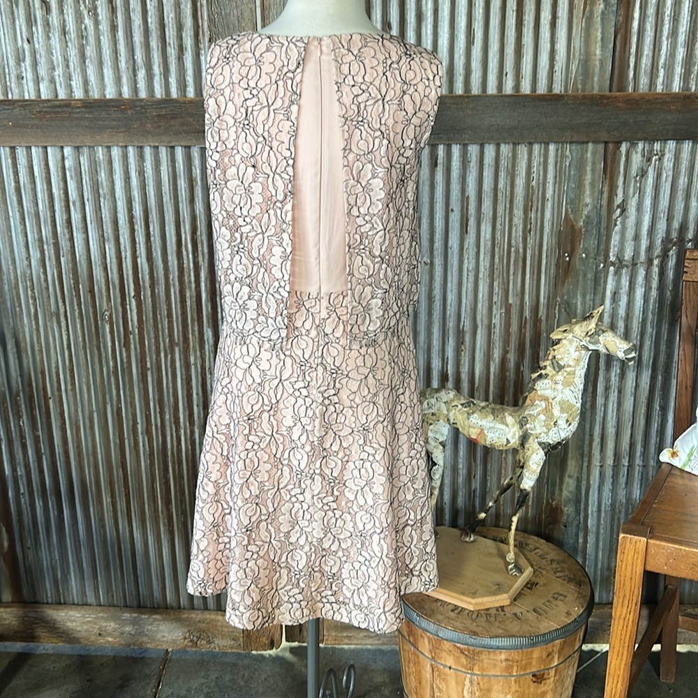 Antonio Melani Elegant Pink Lace Dress NWT! - Picture 7 of 11